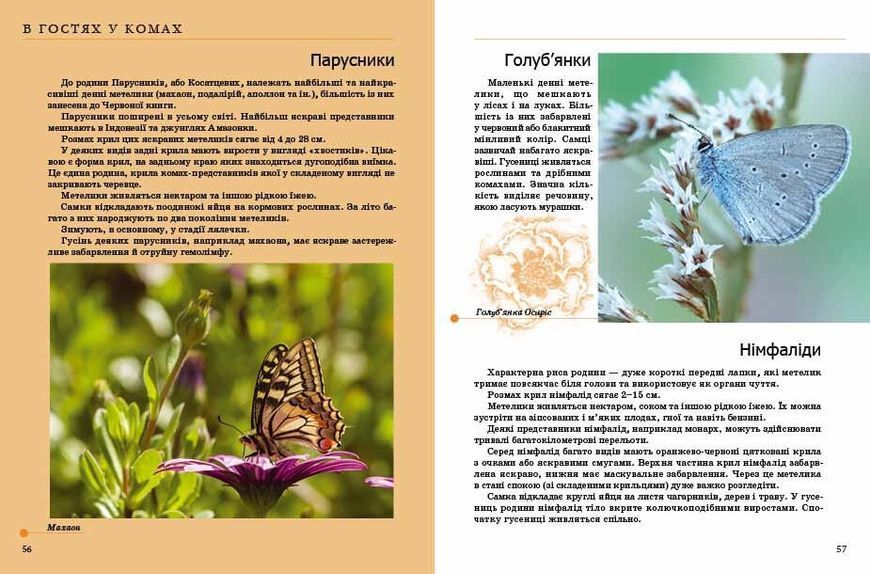 Книга Энциклопедия для любознательных: Насекомые и другие | Талант 97821 фото