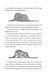 Книга &laquo;The Little Prince&raquo; (А5 формат) | Фолио 131251 фото 3