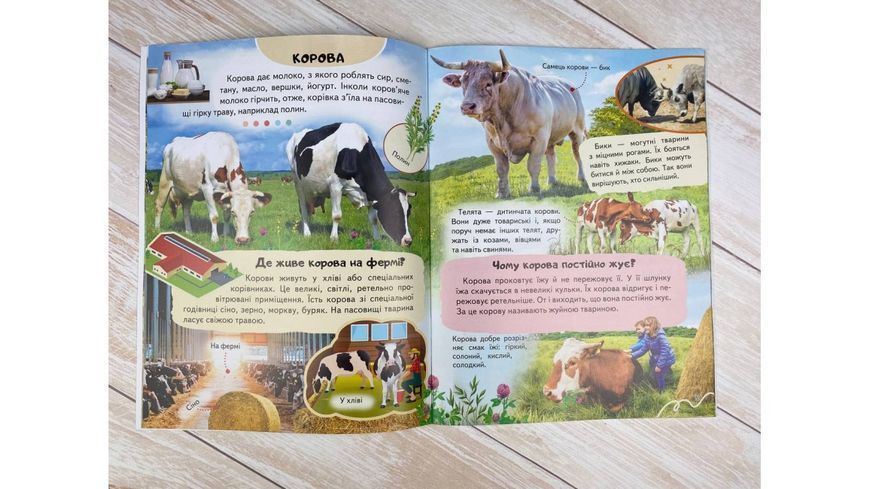 Детская энциклопедия Ферма. Уникальные факты, интересная информация о домашних животных| Пегас 127967 фото