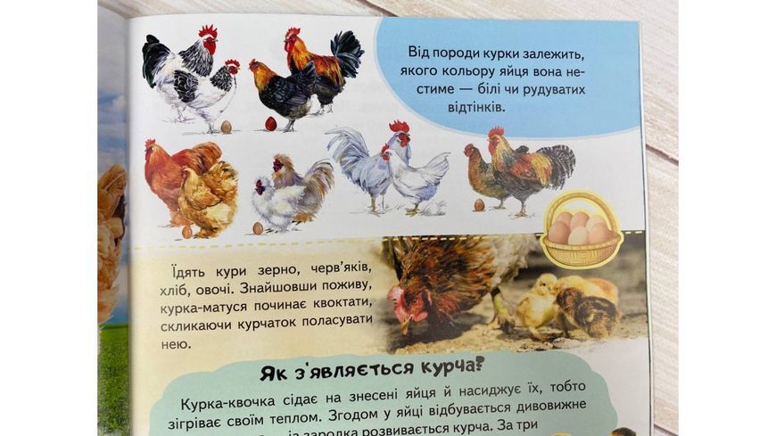 Детская энциклопедия Ферма. Уникальные факты, интересная информация о домашних животных| Пегас 127967 фото