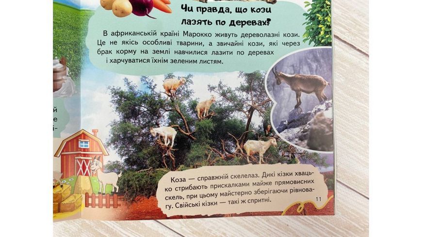 Детская энциклопедия Ферма. Уникальные факты, интересная информация о домашних животных| Пегас 127967 фото
