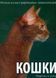 Кошки 90919 фото 1