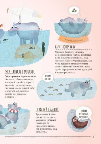 Несподівана дружба у природі 99163 фото