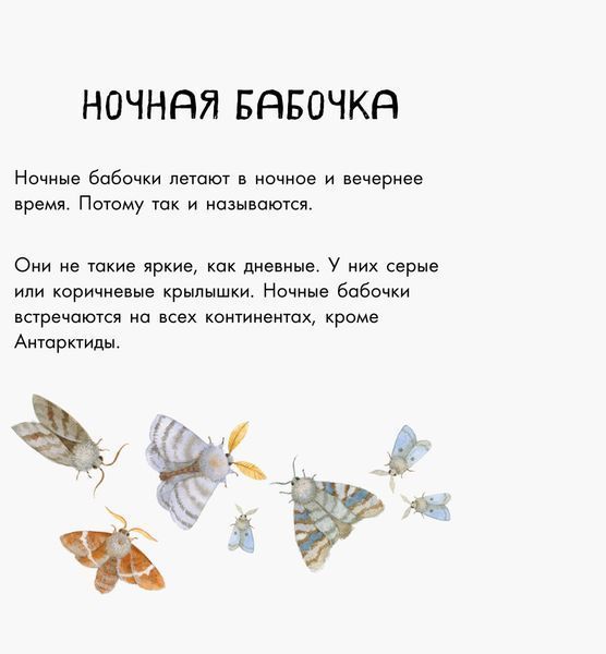 В гостях у природи: Знакомые насекомые 102495 фото