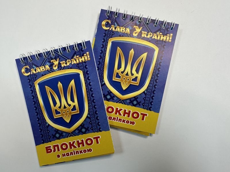 Колибри Блокнот з наліпками в клітинку (на пружині 40 аркушів) 127010 фото