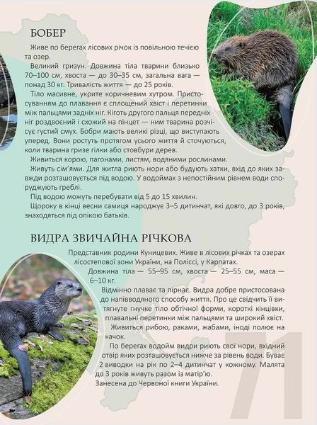 Книга Энциклопедия для любознательных. Жемчужины природы Украины | Талант 125799 фото
