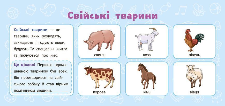 Навчальний посібник Навчальні міні-плакати &mdash; Я досліджую світ. 2 клас | Ула 109424 фото