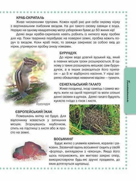 Книга Энциклопедия для любознательных: Животные | Талант 74152 фото