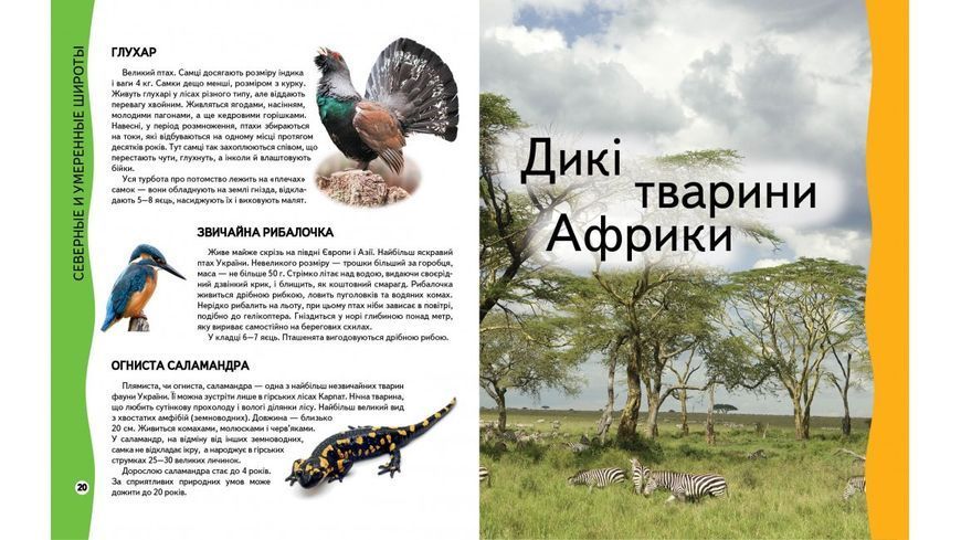 Книга для детей Энциклопедия животных Пегас 81088 фото