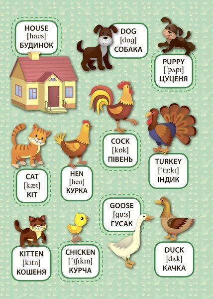 Перші слова Свійські тварини. Domestic Animals 118896 фото