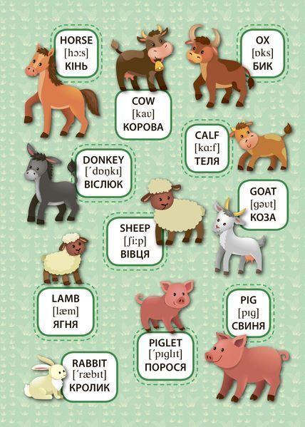 Перші слова Свійські тварини. Domestic Animals 118896 фото