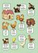 Перші слова Свійські тварини. Domestic Animals 118896 фото 4