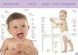 Дитяча енциклопедія Перша книга малюка - Baby's first book | Найкращий подарунок | Талант 97824 фото 4