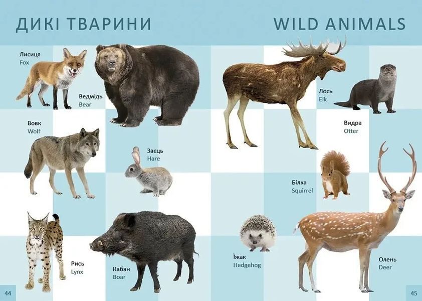 Дитяча енциклопедія Перша книга малюка - Baby's first book | Найкращий подарунок | Талант 97824 фото