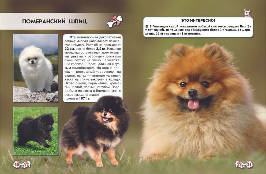 Книга Мир вокруг нас. Собаки | фотоэнциклопедия Бао 105704 фото