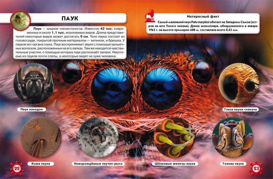 Книга Мир вокруг нас. Микромир | фотоэнциклопедия Бао 104842 фото