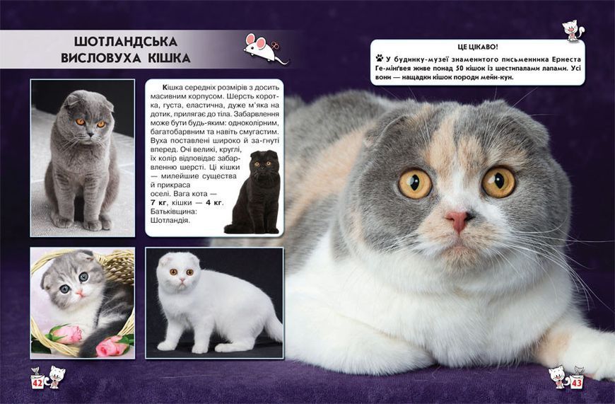 Книга Світ навколо нас. Кішки | Фотоенциклопедія 105706 фото