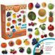 Набор магнитов для детей Magdum Fruits and berries на английском языке (25 штук) ML4031-30 129314 фото 5
