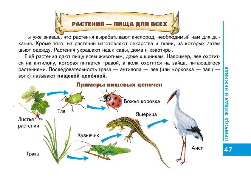 Мамина Моя планета Земля 86188 фото
