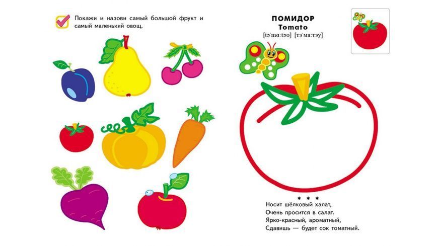 СКА5 Кольорові контури Овочі та фрукти 93860 фото