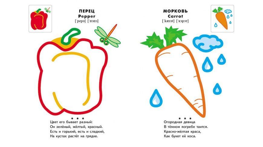 СКА5 Кольорові контури Овочі та фрукти 93860 фото