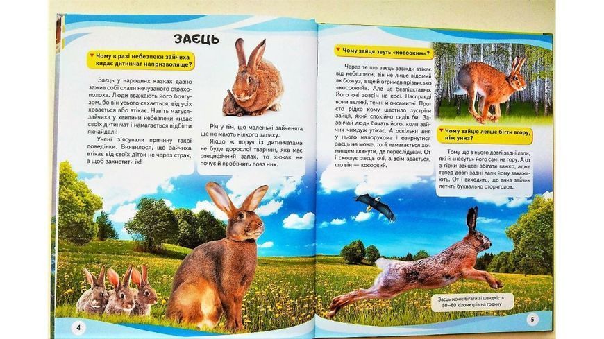 Енциклопедія у запитаннях і відповідях Мами та малюки (тигр) Пегас 104438 фото