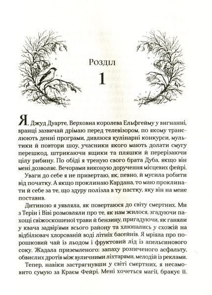 Книга для дітей Королева порожнечі | Віват 118290 фото