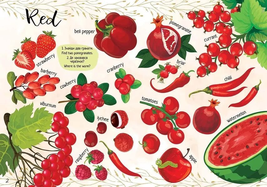 Книжка для изучения английского языка Мои любимые фрукты и овощи / My favorite vegetables and fruit | Талант 126116 фото