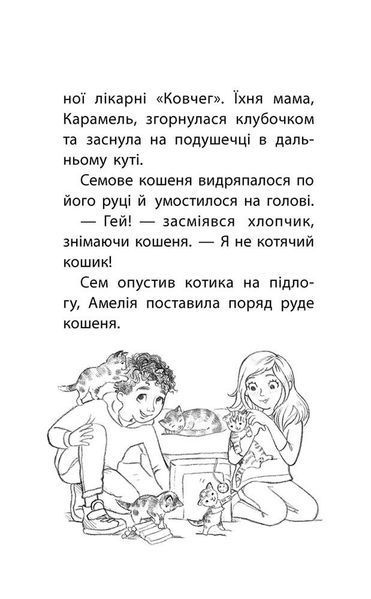 Книга для дітей Історії порятунку. Лисеня у небезпеці. Книга 3 | АССА 130785 фото