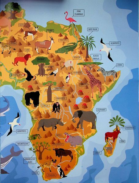 Книжка для изучения английского языка Животные и растения мира / Animals and plants of the world | Талант 126118 фото