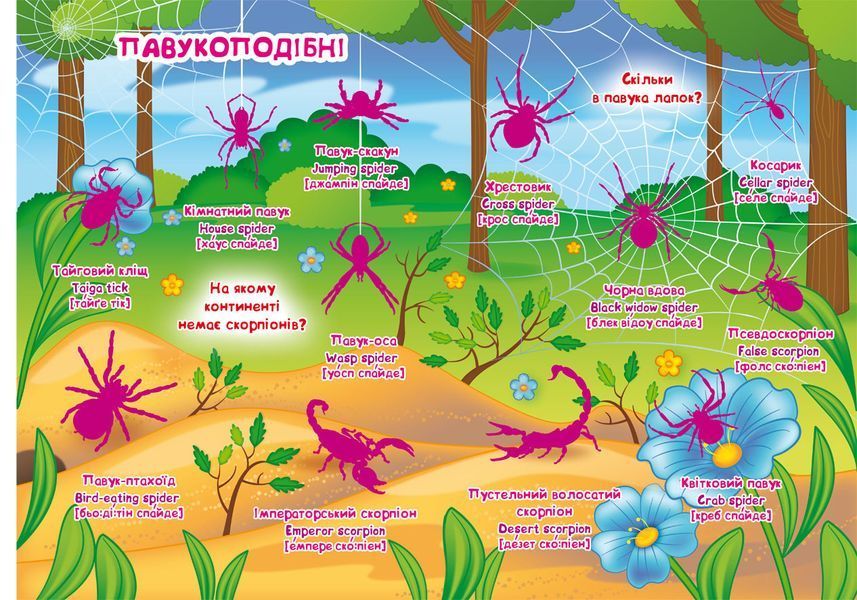 Велика книжка. Розвивальні наліпки Комахи 110859 фото