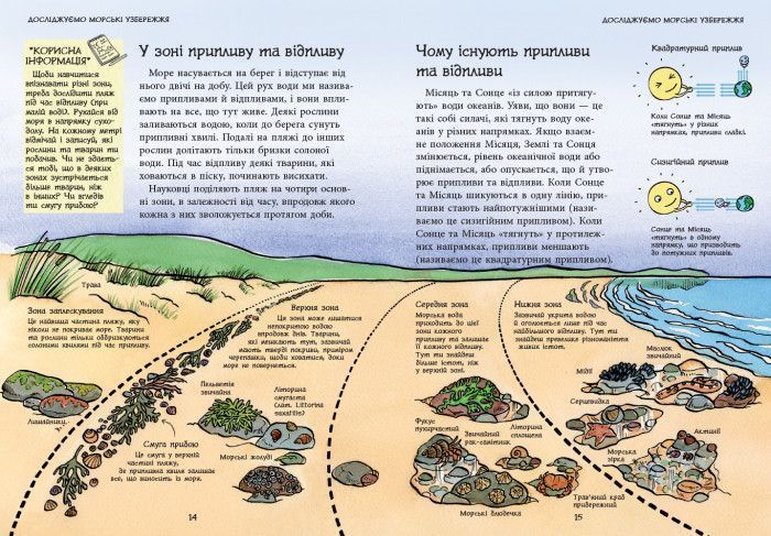 Стежками природи: Океанічні й морські узбережжя 109036 фото