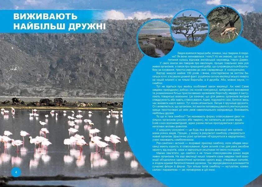 Энциклопедия Кто с кем дружит, или чудеса симбиоза | Лучший подарок | Талант 97422 фото