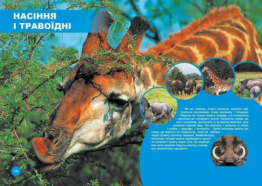 Энциклопедия Кто с кем дружит, или чудеса симбиоза | Лучший подарок | Талант 97422 фото