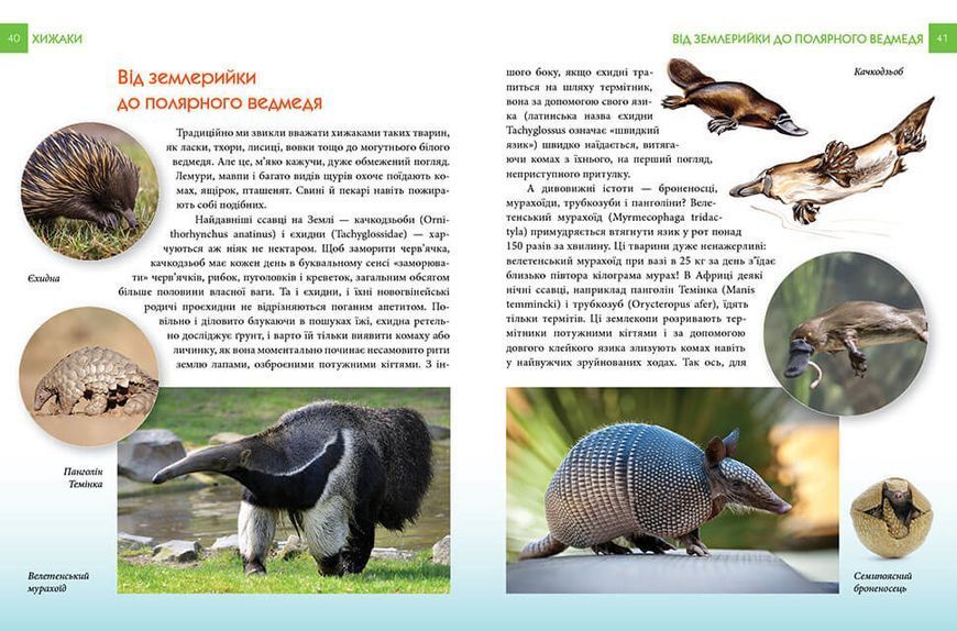Книга Енциклопедія для допитливих: Хижаки | Талант 82671 фото