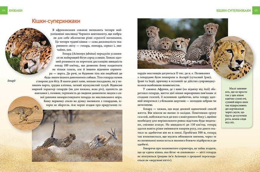 Книга Енциклопедія для допитливих: Хижаки | Талант 82671 фото