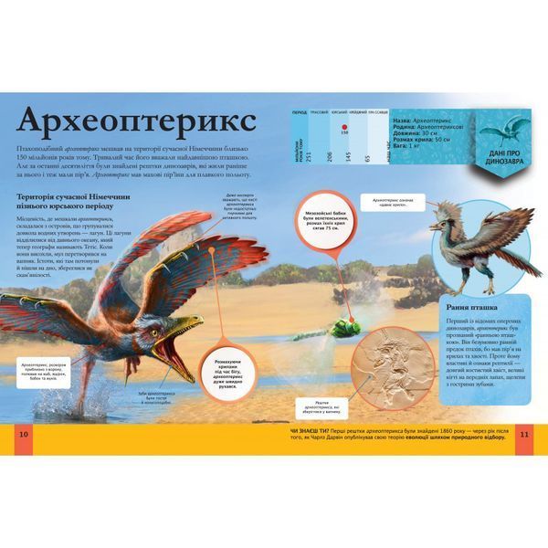 Детская энциклопедия динозавров и других ископаемых животных | Виват 81781 фото