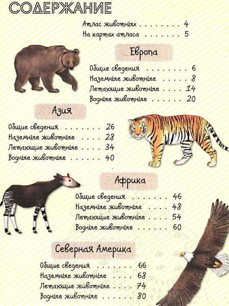 Атлас животных 87222 фото